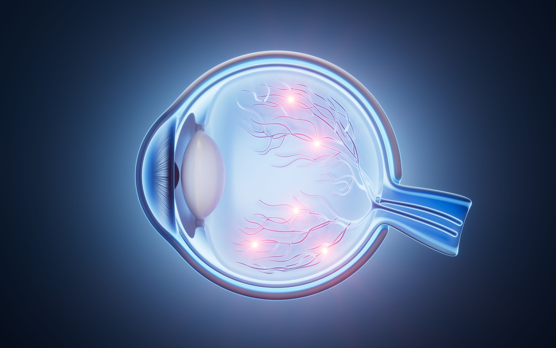Medical eyeball structure scientific illustration, 3d rendering.